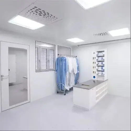 cleanroom-project-for-chip
